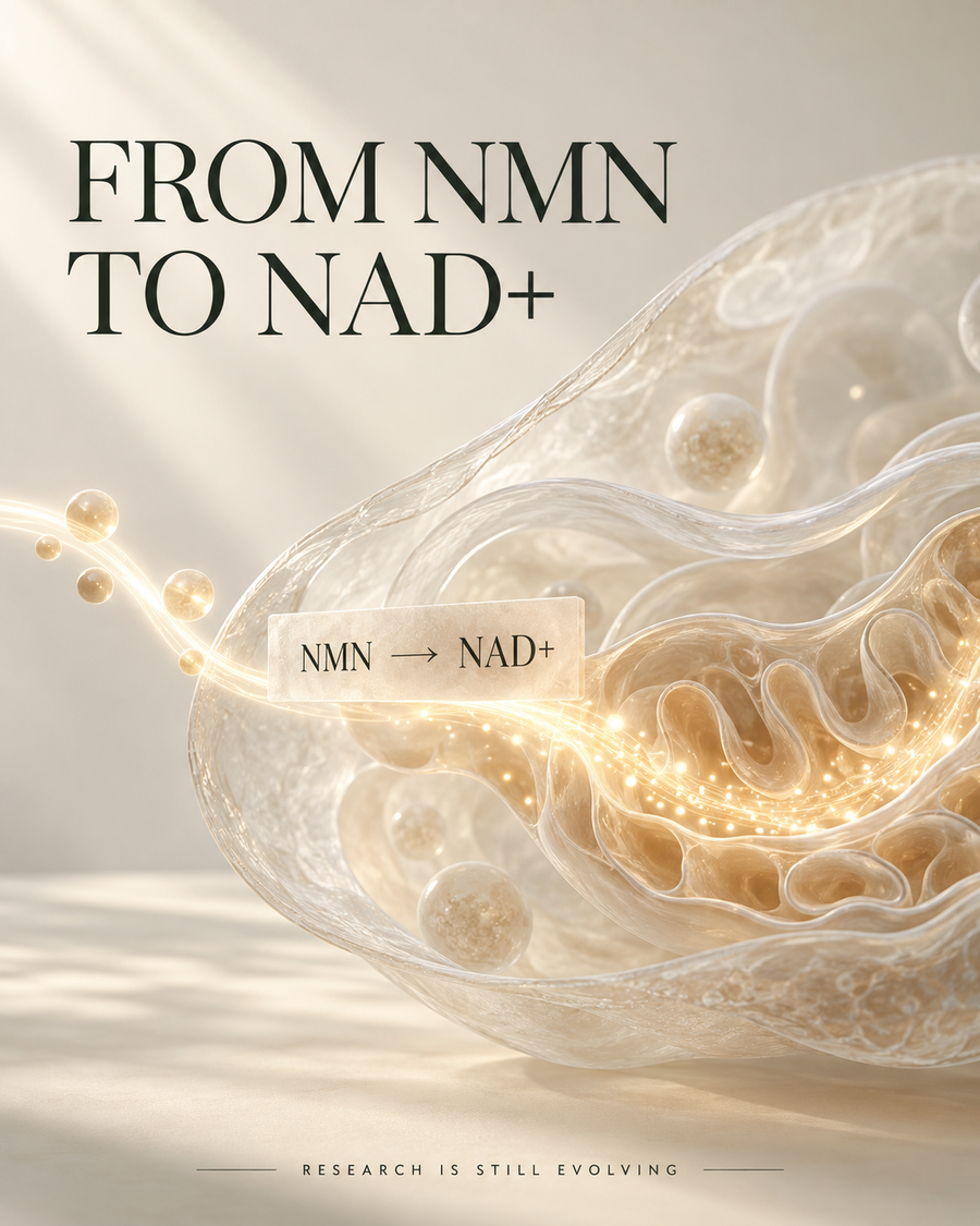 Science -  NMN increases insulin sensitivity in prediabetic women.